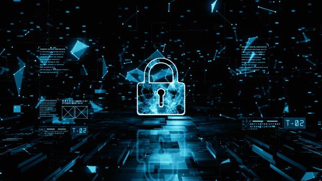 What is a Cryptographic Hash Function and How Does it Work?